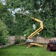 Lamar, SC Tree Care Company